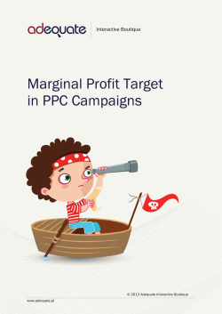 Marginal Profit in E-commerce Campaign FINAL