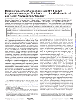 Design of an Escherichia coli Expressed HIV