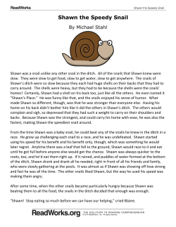 Shawn the Speedy Snail