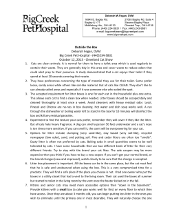 to see Dr Fegan`s Outside the Box notes