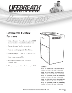 Lifebreath Electric Furnace