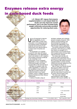 Enzymes release extra energy in corn