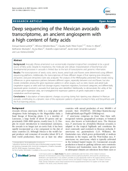 Deep sequencing of the Mexican avocado