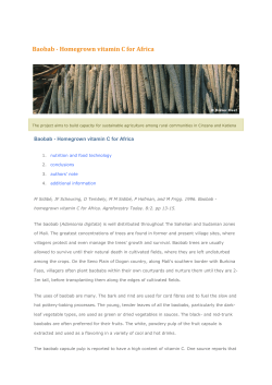 Baobab - Homegrown vitamin C for Africa