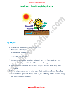 Nutrition &ndash; Food Supplying System Synopsis