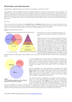 Motivation and Attachment - Energy Diamond Consultancy