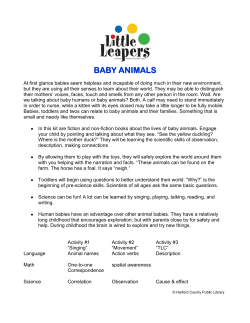 baby animals - Harford County Public Library