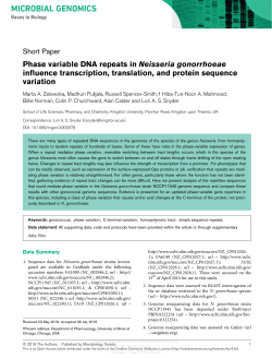 Phase variable DNA repeats in Neisseria gonorrhoeae influence