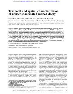 Temporal and spatial characterization of nonsense