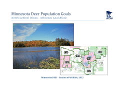 Minnesota Deer Population Goals