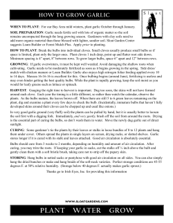 hOW TO GROW GARLic - Sloat Garden Center