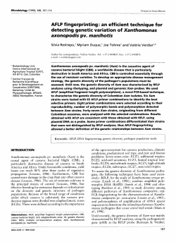 AFLP fingerprinting : an efficient technique for detecting genetic