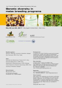 Genetic diversity in maize breeding programs