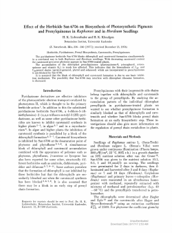 Effect of the Herbicide San 6706 on Biosynthesis of