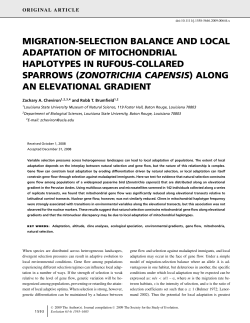 migration-selection balance and local adaptation of mitochondrial