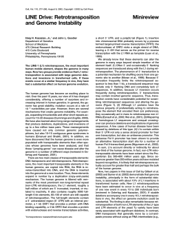 Minireview LINE Drive: Retrotransposition and Genome Instability