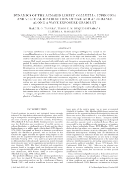 dynamics of the acmaeid limpet collisella