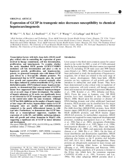 Expression of GCIP in transgenic mice decreases
