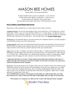 mason bee homes - Border Free Bees