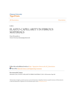 elasto-capillarity in fibrous materials - TigerPrints