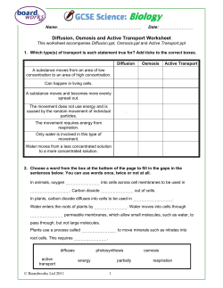 Diffusion, Osmosis and Active Transport Worksheet