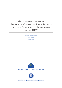 Measurement issues in European consumer price indices and