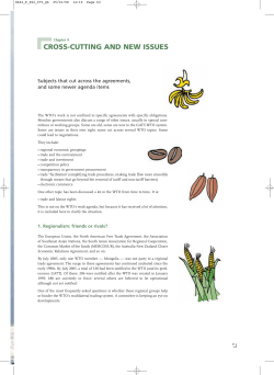 cross-cutting and new issues