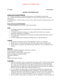 Hermit Crab Biology