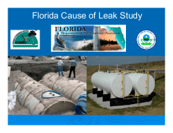Florida Cause of Leak Study