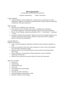 How to Turn on Genes an exploration of differential gene expression