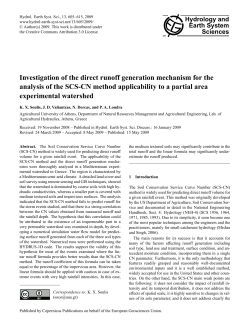 Investigation of the direct runoff generation mechanism for the