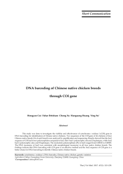 DNA barcoding of Chinese native chicken breeds through COI gene