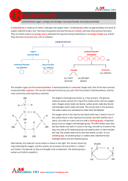 Carbohydrate sugars, energy and storage