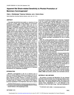 Apparent Rat Strain-related Sensitivity to