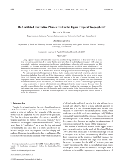 Do Undiluted Convective Plumes Exist in the