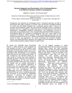 Genome Integration and Reactivation of the Virophage