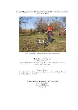 Cesium Magnetometer Studies at the Betts Historic
