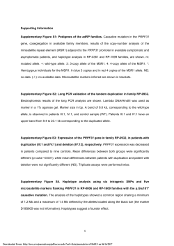 Analysis of the PRPF31 Gene in Spanish Autosomal Dominant