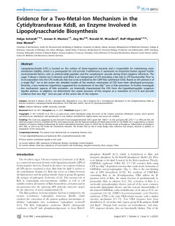 Evidence for a Two-Metal-Ion Mechanism in the Cytidyltransferase