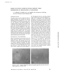 PLOIDY OF LIVING CLONES OF HUMAN SOMATIC CELLS