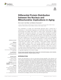 Differential Protein Distribution between the Nucleus and