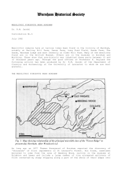 Mesolithic Findspots near Horsham