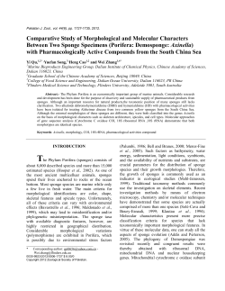 Comparative Study of Morphological and Molecular Characters