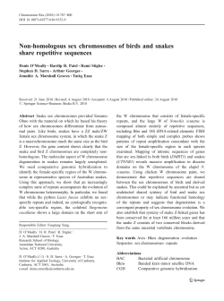 Non-homologous sex chromosomes of birds and snakes share