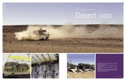 Desert cats - MTU Report