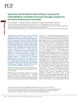 Estimation of the Relative Sizes of Rate Constants for Chlorophyll