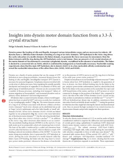Insights into dynein motor domain function from a 3.3