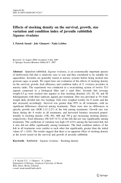 as a PDF