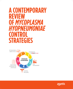 a contemporary review of mycoplasma