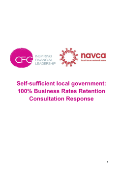 Self-sufficient local government: 100% Business Rates